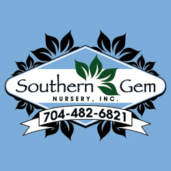 Southern Gem design